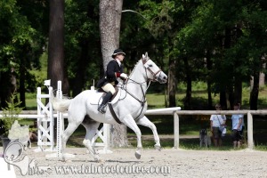CFCC 2017 01173