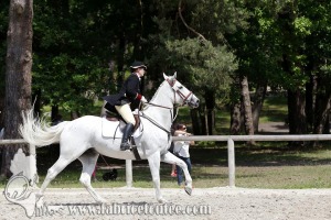 CFCC 2017 01174