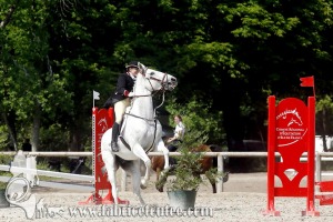 CFCC 2017 01177