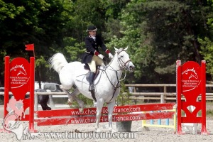 CFCC 2017 01179