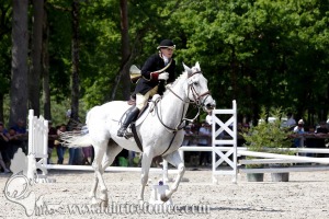 CFCC 2017 01185