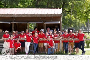 CFCC 2017 02077