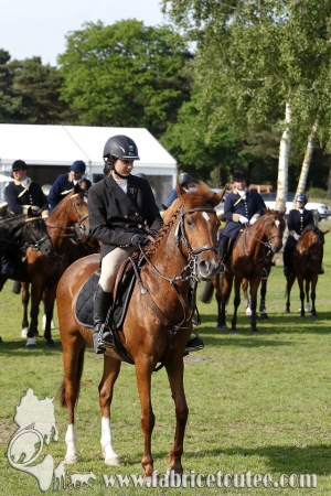 CFCC 2017 01983