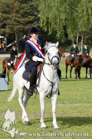 CFCC 2017 01994