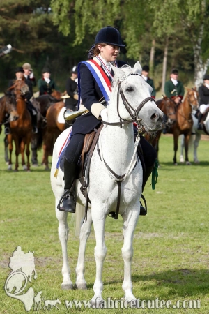 CFCC 2017 01995