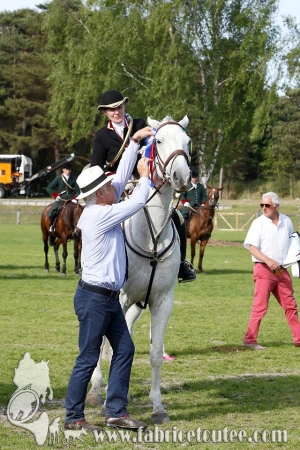 CFCC 2017 02005