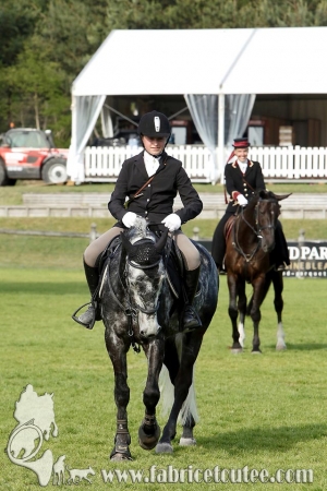 CFCC 2017 02006