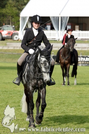 CFCC 2017 02007