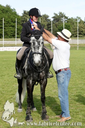 CFCC 2017 02008