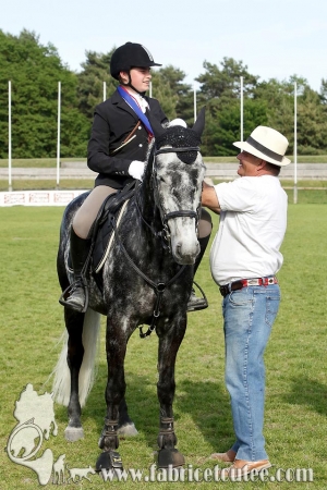 CFCC 2017 02009