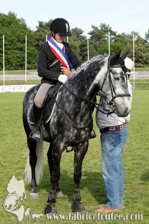 CFCC 2017 02010