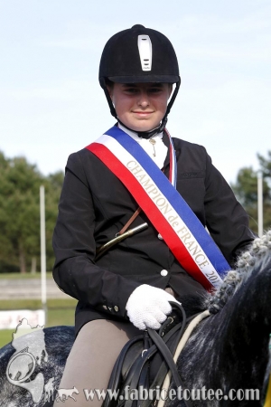 CFCC 2017 02011