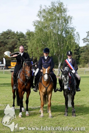CFCC 2017 02014