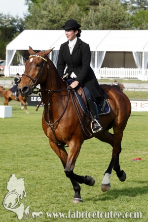 CFCC 2017 02038