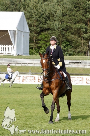 CFCC 2017 02041