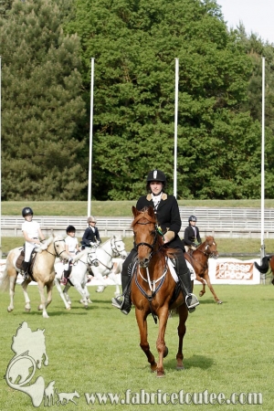CFCC 2017 02043