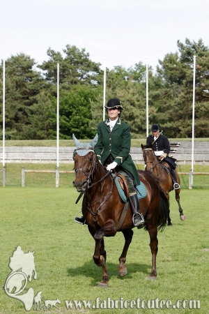 CFCC 2017 02046