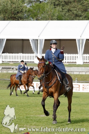 CFCC 2017 02048