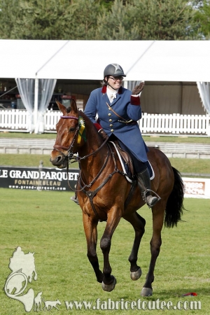 CFCC 2017 02049