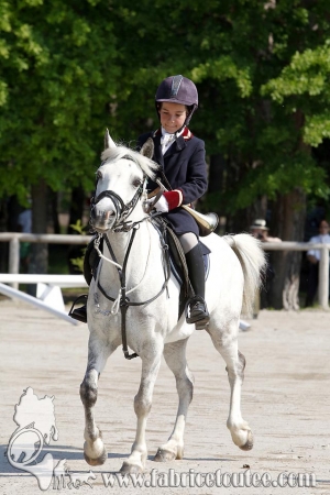 CFCC 2017 00014