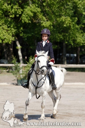 CFCC 2017 00016