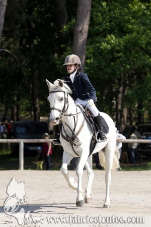 CFCC 2017 00027