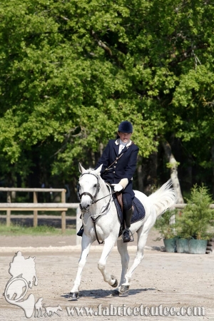 CFCC 2017 00046