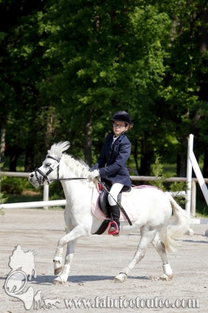 CFCC 2017 00056