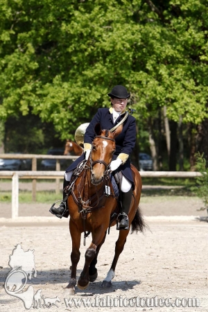 CFCC 2017 00113