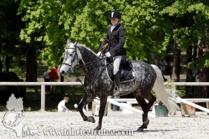 CFCC 2017 00151