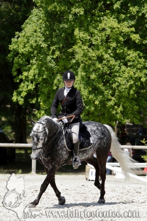 CFCC 2017 00152