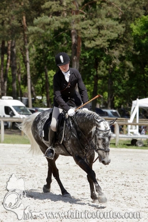 CFCC 2017 00155