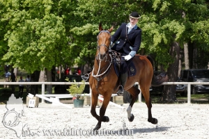 CFCC 2017 00181