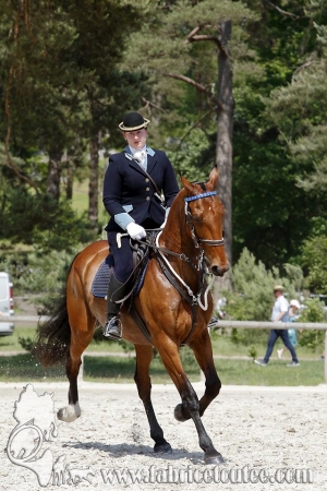 CFCC 2017 00182
