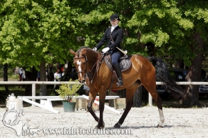 CFCC 2017 00221