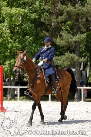 CFCC 2017 00231