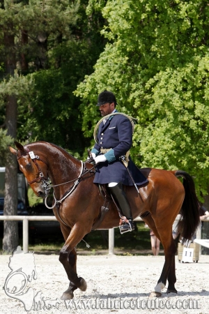 CFCC 2017 00249