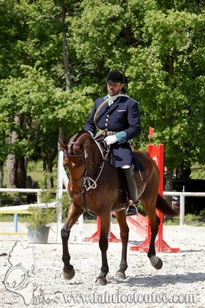 CFCC 2017 00250