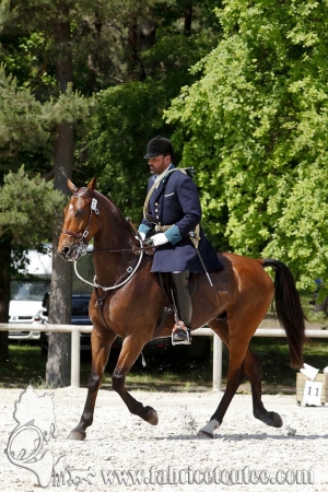 CFCC 2017 00251