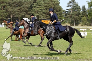 Fontainebleau 2017 0004