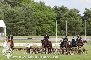 Fontainebleau 2017 0005