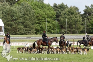 Fontainebleau 2017 0006