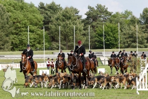 Fontainebleau 2017 0007