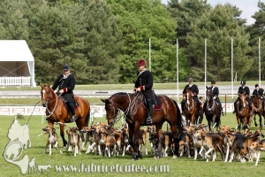 Fontainebleau 2017 0008