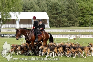 Fontainebleau 2017 0009
