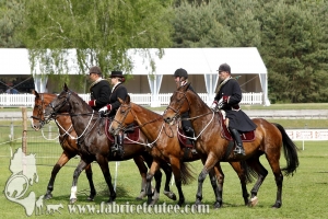 Fontainebleau 2017 0014