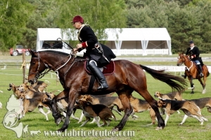 Fontainebleau 2017 0023