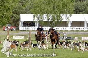 Fontainebleau 2017 0051