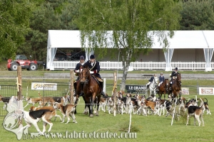 Fontainebleau 2017 0052