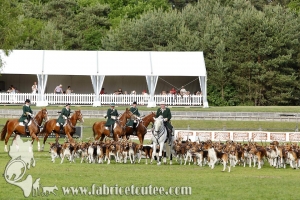 Fontainebleau 2017 0094